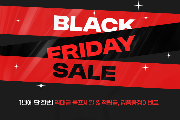 블랙 프라이데이